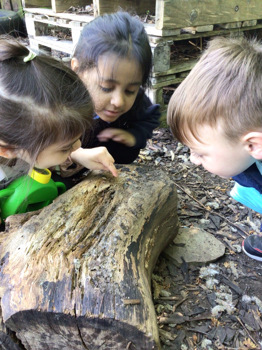 Byronprimarysch's tweet photo. Nursery have been busy this week for Science Week. #byronSTEM #byronscience https://t.co/ynHAGhtuNO