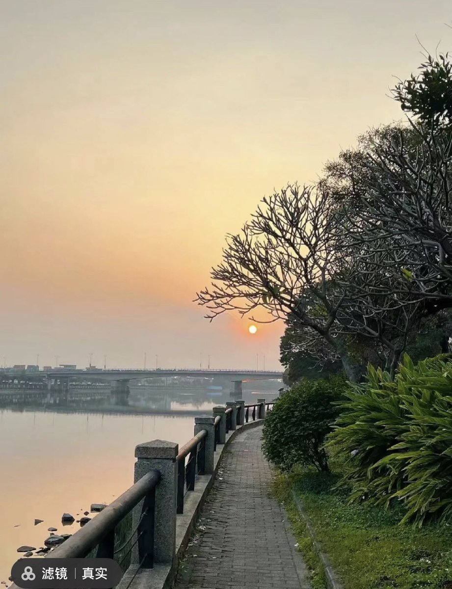 yi07765's tweet photo. 阳光正好
#河北 #石家庄 #散步 #唐山 #交友 #秦皇岛 #小蛮腰 https://t.co/2PrXtdJkW6