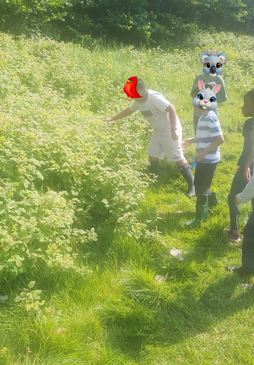 Forestschoolmvps tweet media