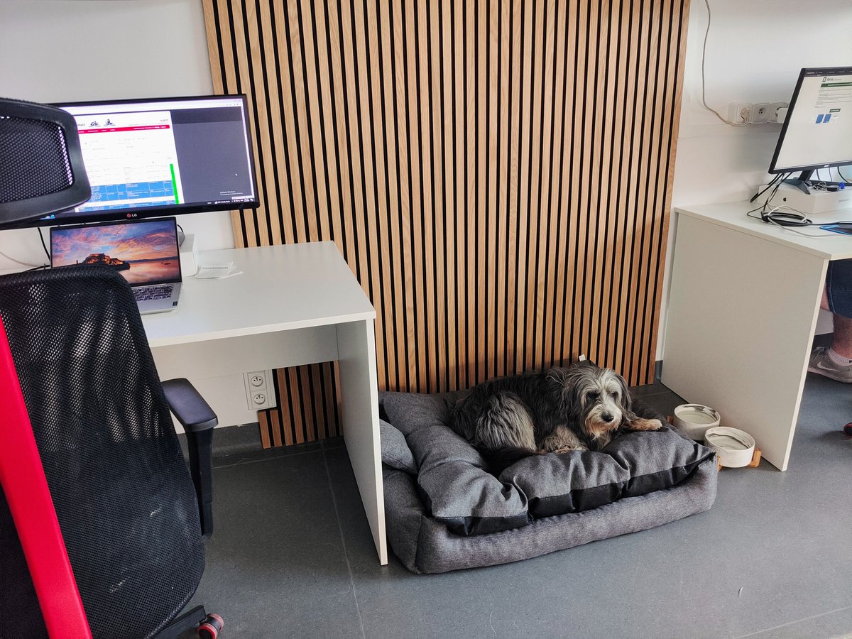 Není nad to, když zaměstnavatel připraví skvělé pracovní podmínky pro všechny. 🙂 #xtuning #dogatwork