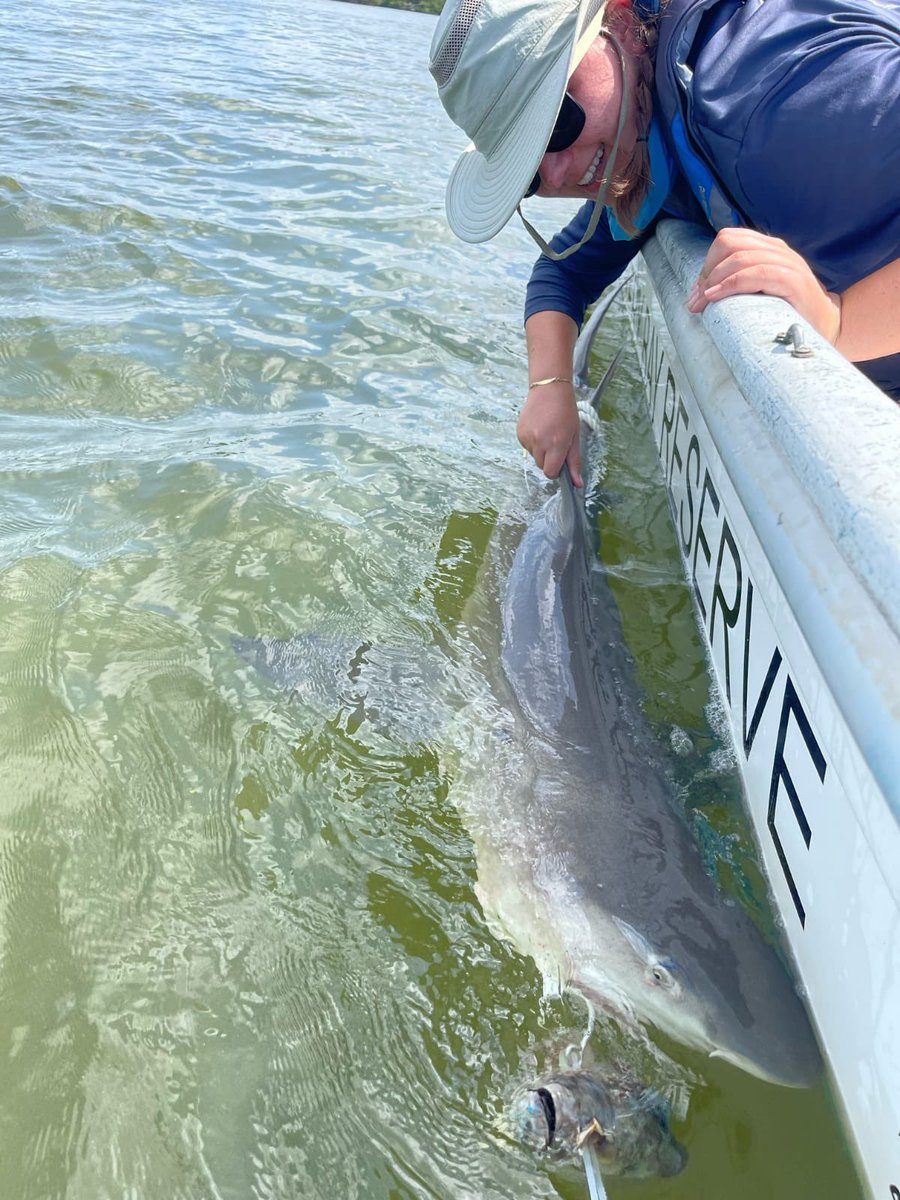 Heithaus Lab tweet media