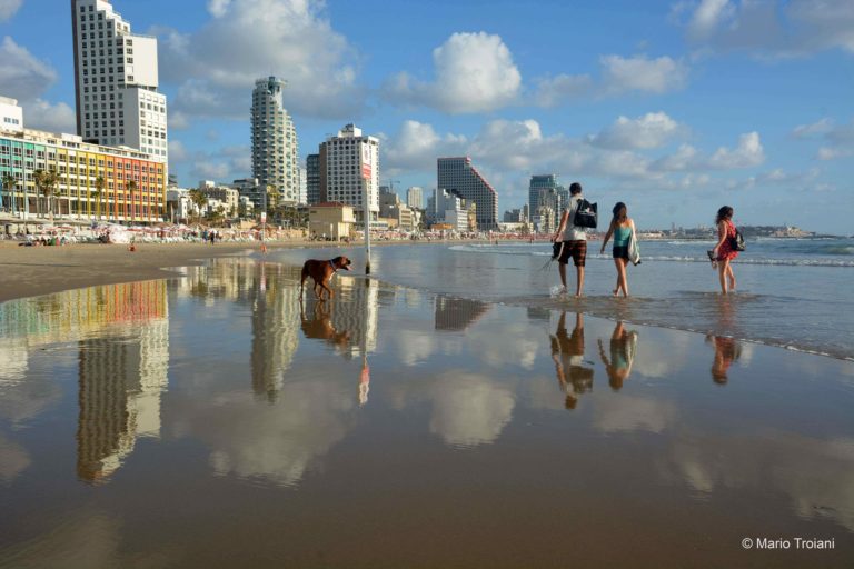 Nitish848535785's tweet photo. Frishman Beach Tel Aviv Mediterranean Israel
#frishmanbeach #telaviv #israel #beach #telavivbeach #futev #sunset #tlv #sonya #travel #gordonbeach #frishman #tamron #telavivcity #c #photography #beautiful #vacation #beachvolley 
https://t.co/CLjZtucY8X https://t.co/RxqLzbKYP5