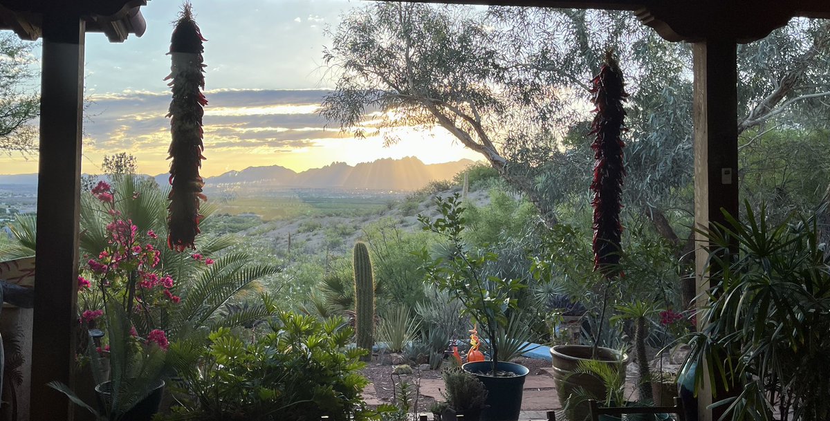Christo71243889's tweet photo. New Mexico morning. #lascruces #newmexico #desertsunrise #sunrise https://t.co/nai4SfIlYS