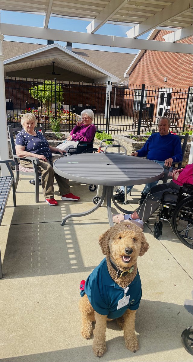 Our Legacy BFFs love spending their mornings with Miss Molly Mae while enjoying some sunshine! ☀️🐶