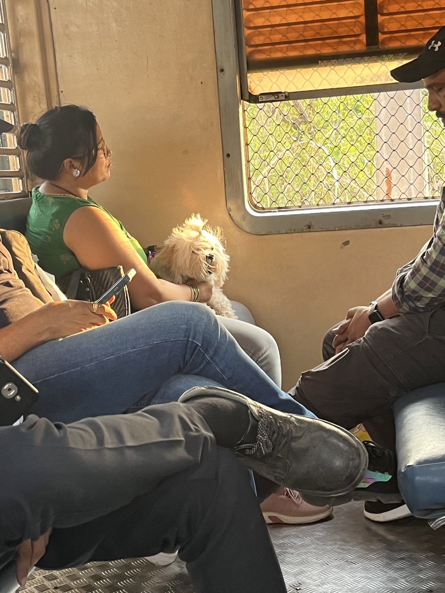 Is Dog allowed in local trains? In middle First class of Khopoli CSMT 6.02 PM at Karjat Station.Can someone check?