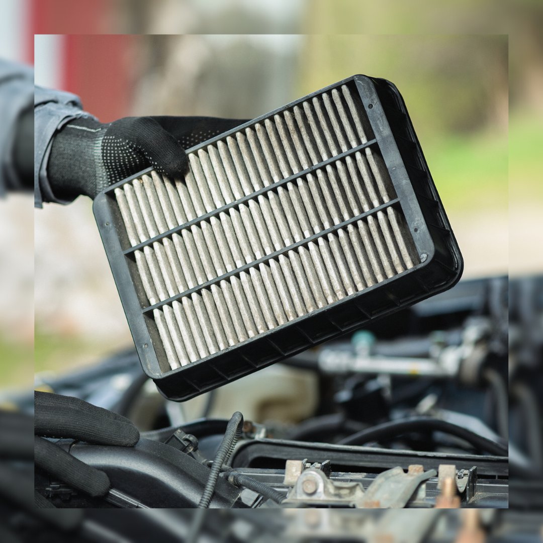 drivewaymoonsub's tweet photo. Savings alert! 🚨
Now through 6/30, take advantage of this air filter coupon! Visit https://t.co/plxQOLTUMB for more info! 😉

#airfilter #carfilter #carairfilter #cabinfilter #subarumoon #subaruperformance #healthysubihappysubi https://t.co/fSnPYeNAmq