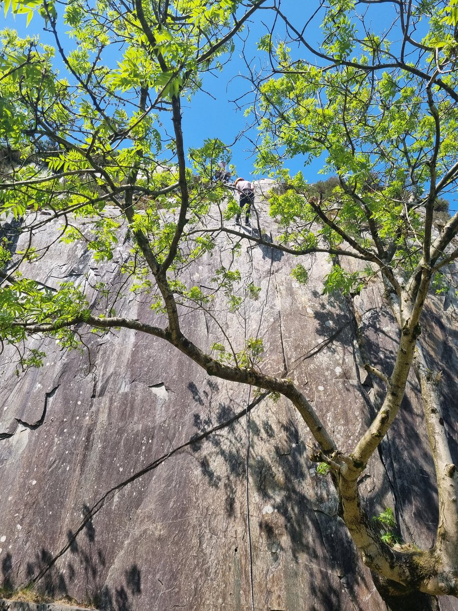 St Saviour's Primary tweet media