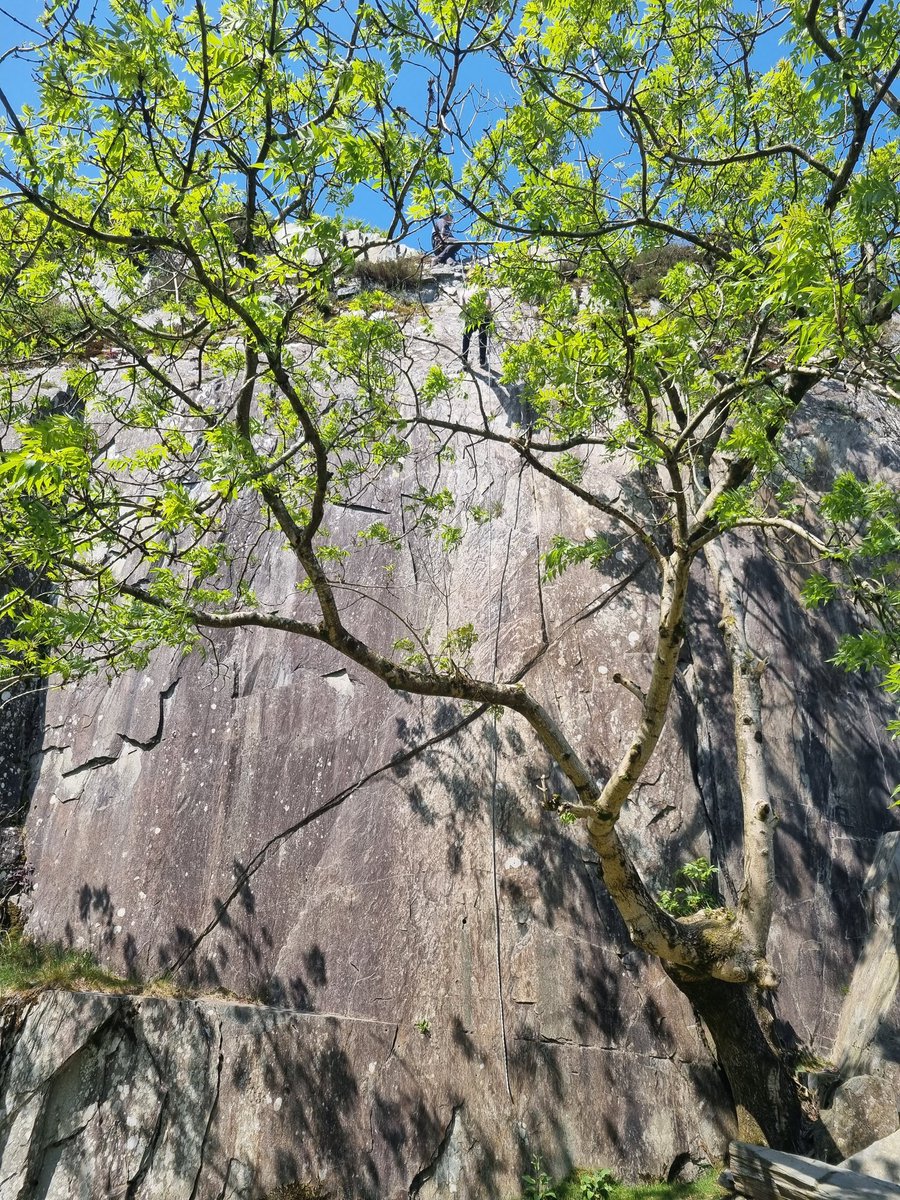 St Saviour's Primary tweet media