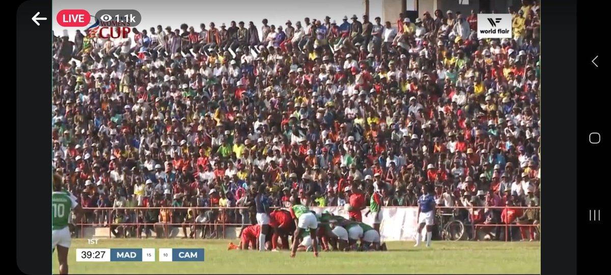 Koyokoyo tweet media