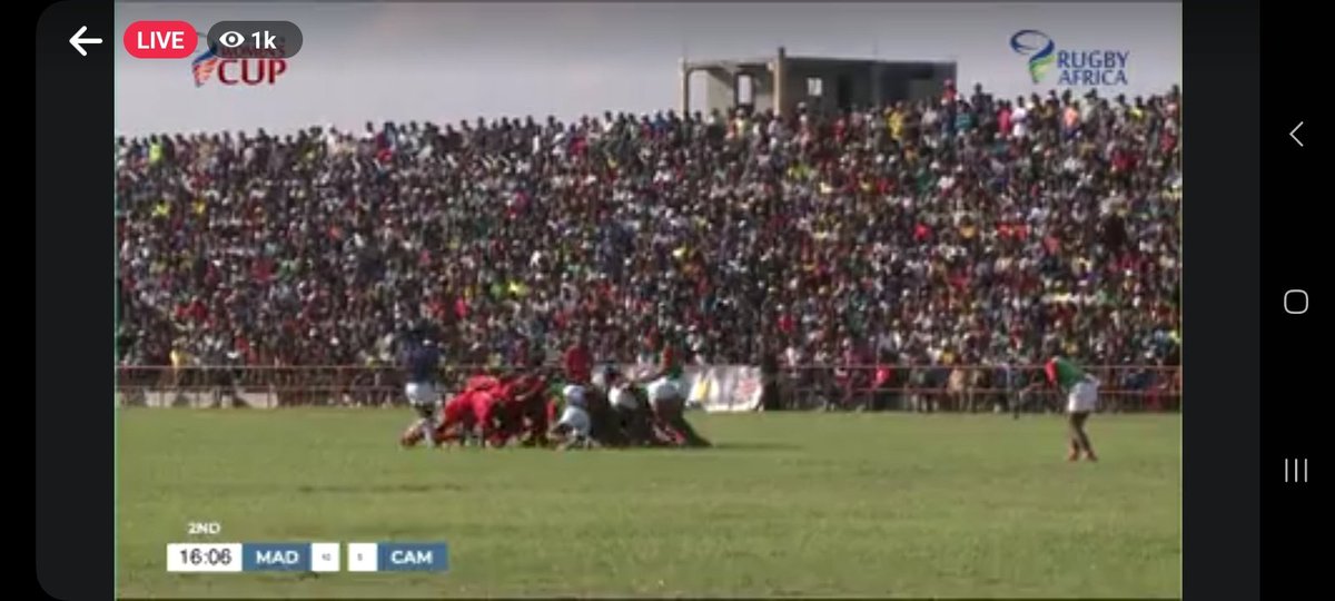 Koyokoyo tweet media