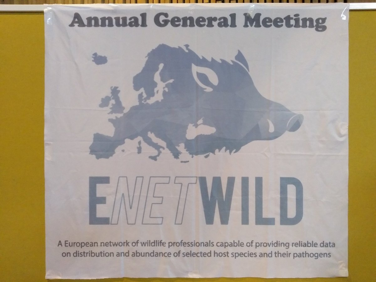 Everything ready for the III ENETWILD Annual General Meeting #enetwildAGM3 🐗🦌🦡🦆. During the next couple days in Brussels we'll analize ENETWILD achievments so far and we'll discuss about future chalenges in wildlife monitoring #OneHealth #wildlife #monitoring <a href="/enetwild/">ENETWILD project</a>