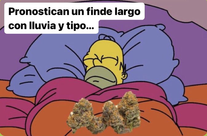 revistaTHC's tweet photo. Si hay flores, se disfruta 🌺 🌧 https://t.co/qnxMrevuAB