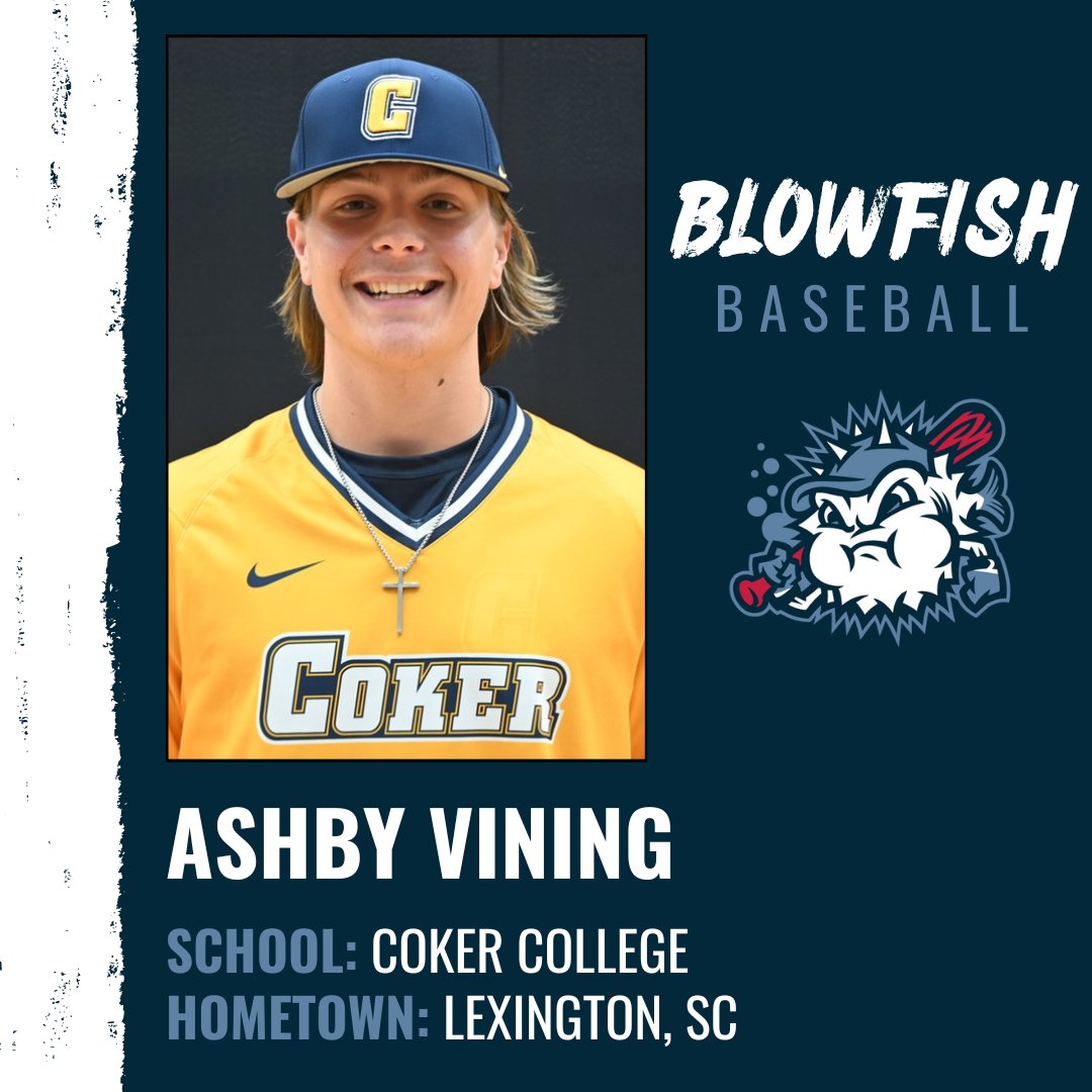 GoBlowfish's tweet image. Meet the Blowfish: Ashby Vining

More hometown flavor, as Ashby played locally at Gilbert HS.

He is a sophomore catcher at Coker.