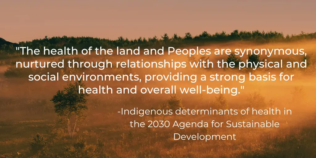 Planetary Health Alliance tweet media