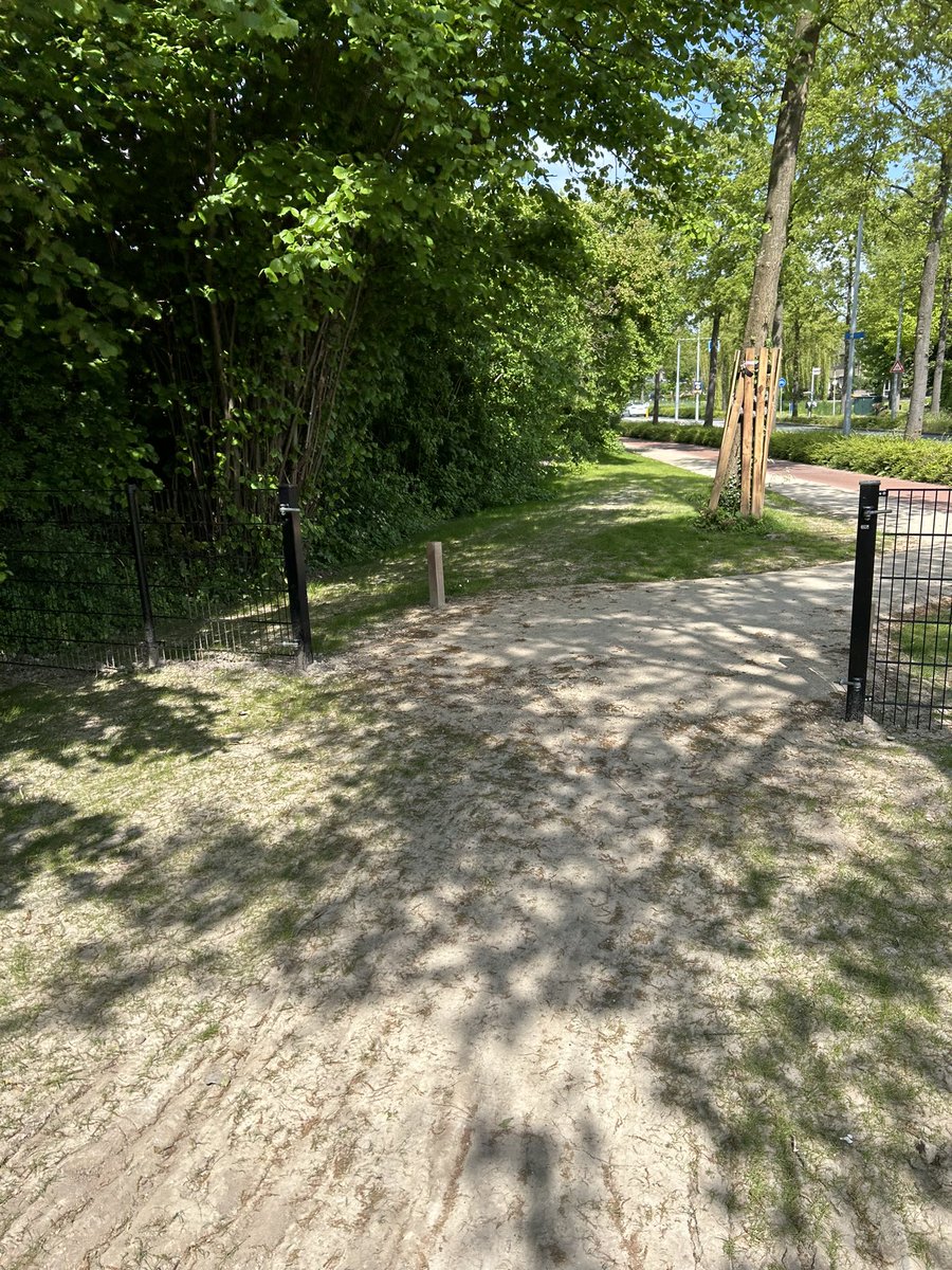 AMdegraaf's tweet photo. @GemAlblasserdam wanneer komt het hek erin? Nu kan ik m’n hond niet loslaten. Zeker niet aan de drukke weg. En het water is te koud om mee te gaan zwemmen. https://t.co/aSr3S9IBD6