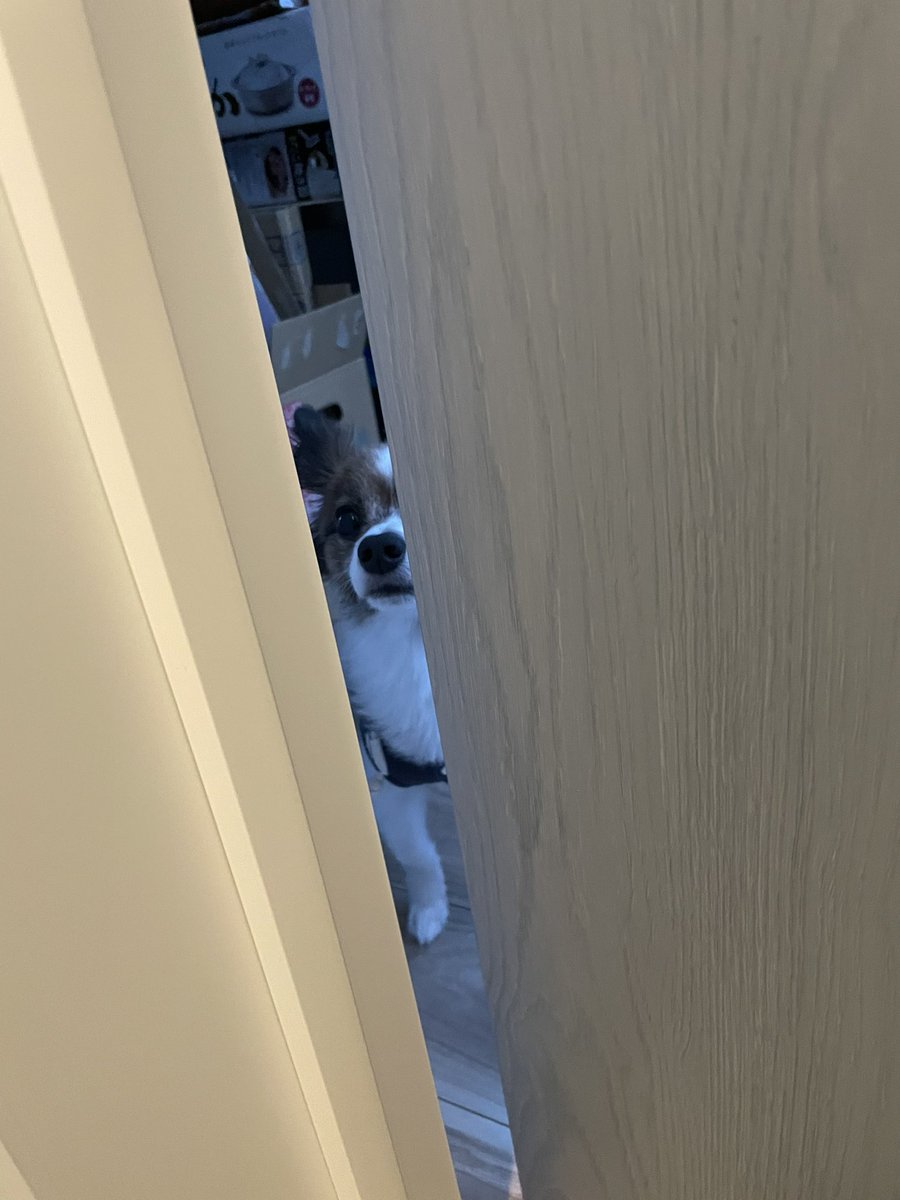 Loco20190408's tweet photo. えーっと…。ゆっくりトイレくらいさせてください🙇‍♀️（笑） https://t.co/1i3Es8tKe3
