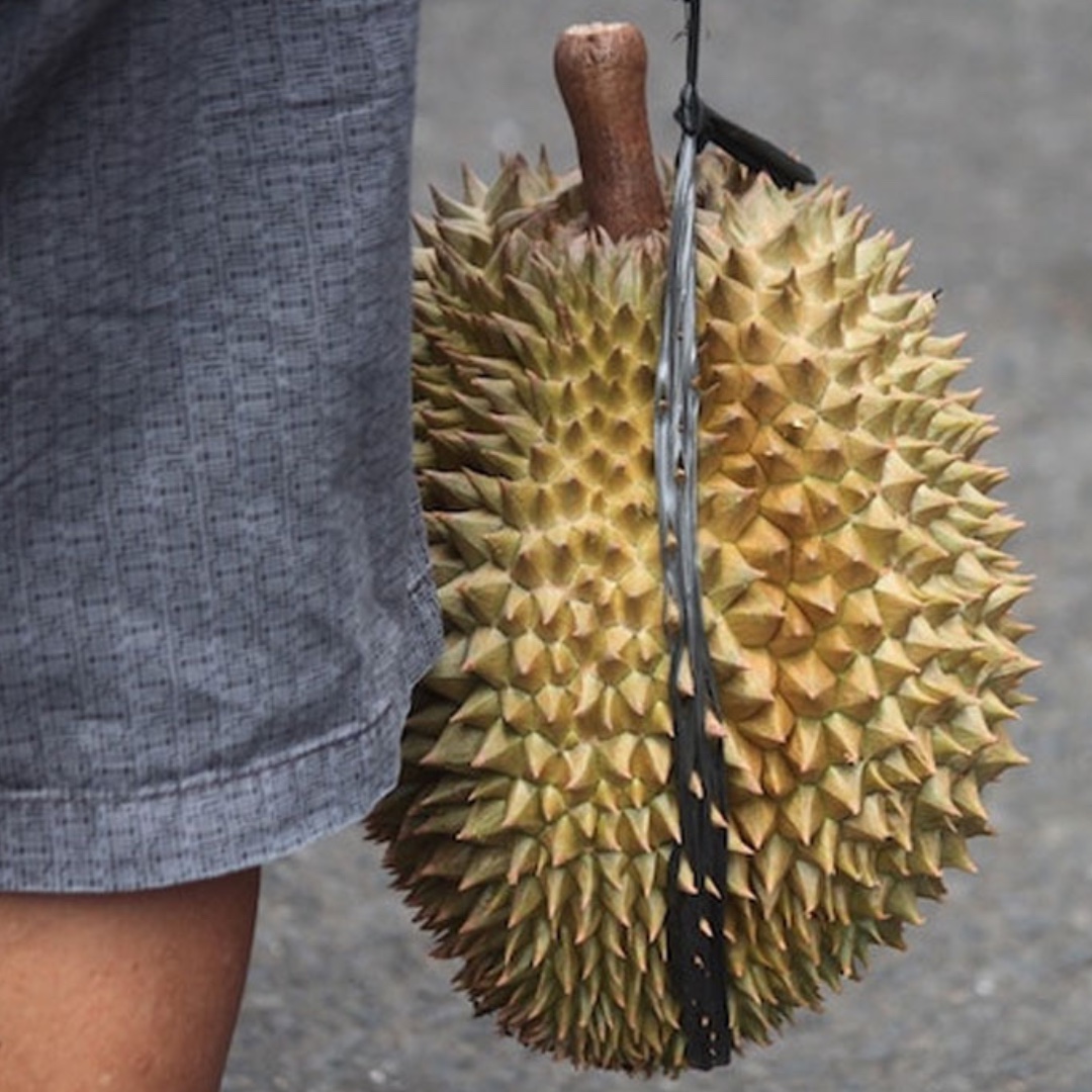 MDD Motorsport tweet media