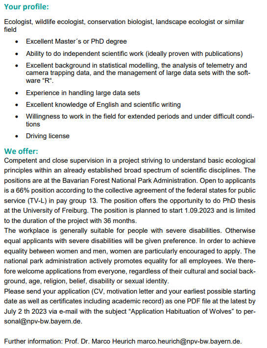 "Analysis of factors influencing the habituation of wolves" 🐺

We are opening a new position based here at the Bavarian Forest National Park, with the opportunity to do a #PhD with <a href="/UniFreiburg/">Universität Freiburg</a>.

#Wolves #JobFairy #EcologyJobs #ConservationJobs