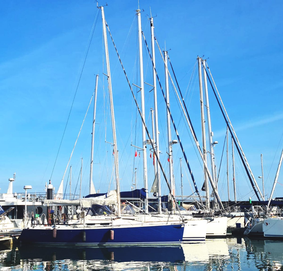 DeauvilleFr's tweet image. #REGATE COWES-DEAUVILLE
Skippers anglais et français se rejoignent aujourd'hui sur l'île de Wight. Les premiers #bateaux à mettre le cap sur Deauville partiront demain matin pour arriver dans la nuit de vendredi à samedi.
ℹ️ indeauville.fr/regate-cowes-d…
#transmanche #inDeauville