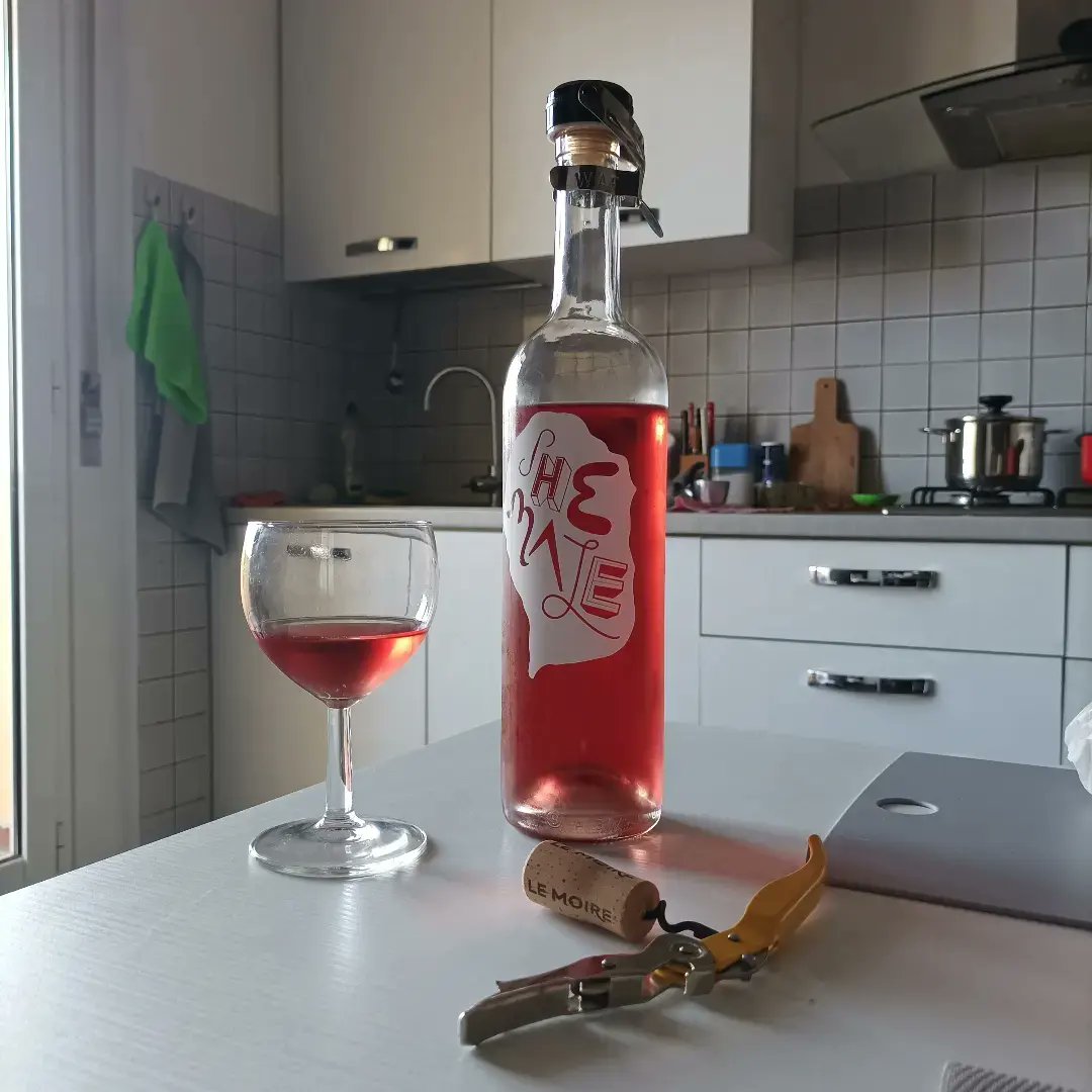🍷Just discovered S.hemale, an extraordinary natural rosé from #CantinaLeMoire. A unique blend of #Magliocco and #Mantonicograpes, undergoing a remarkable transformation. Bright pink color, fruity aroma - a true delight to the senses. #NaturalWine #IGTCalabria #RoséWine