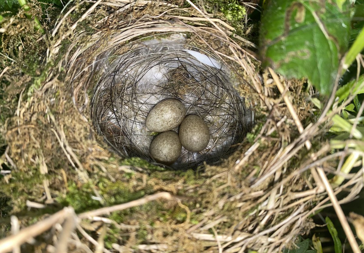 Paul Coombes 📷 tweet media