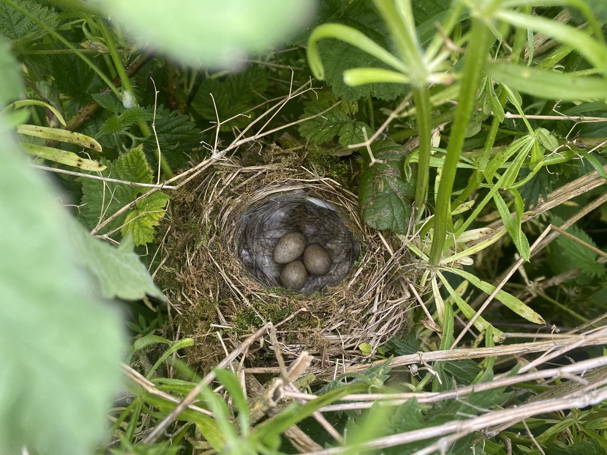 Paul Coombes 📷 tweet media