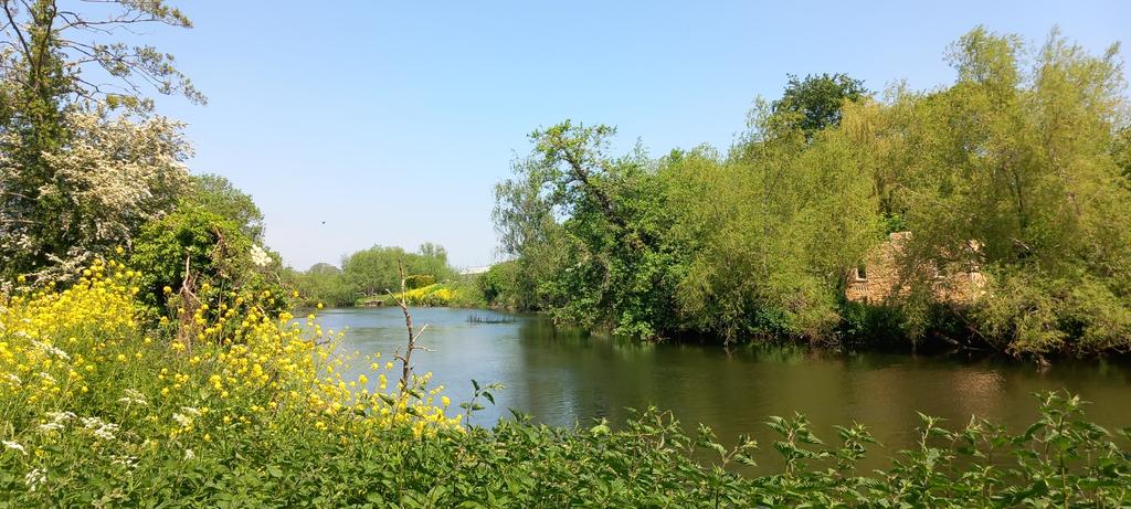 Day off 😍😊🌞🌞 #Evesham #RiverAvon