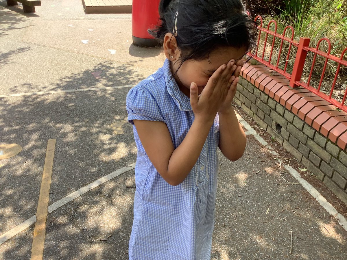 Halley Year 2 tweet media