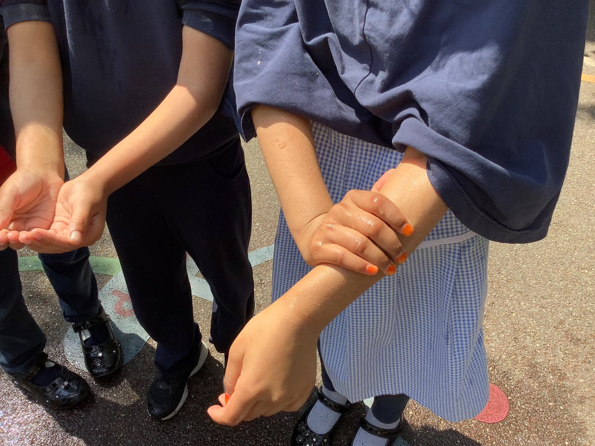 Halley Year 2 tweet media