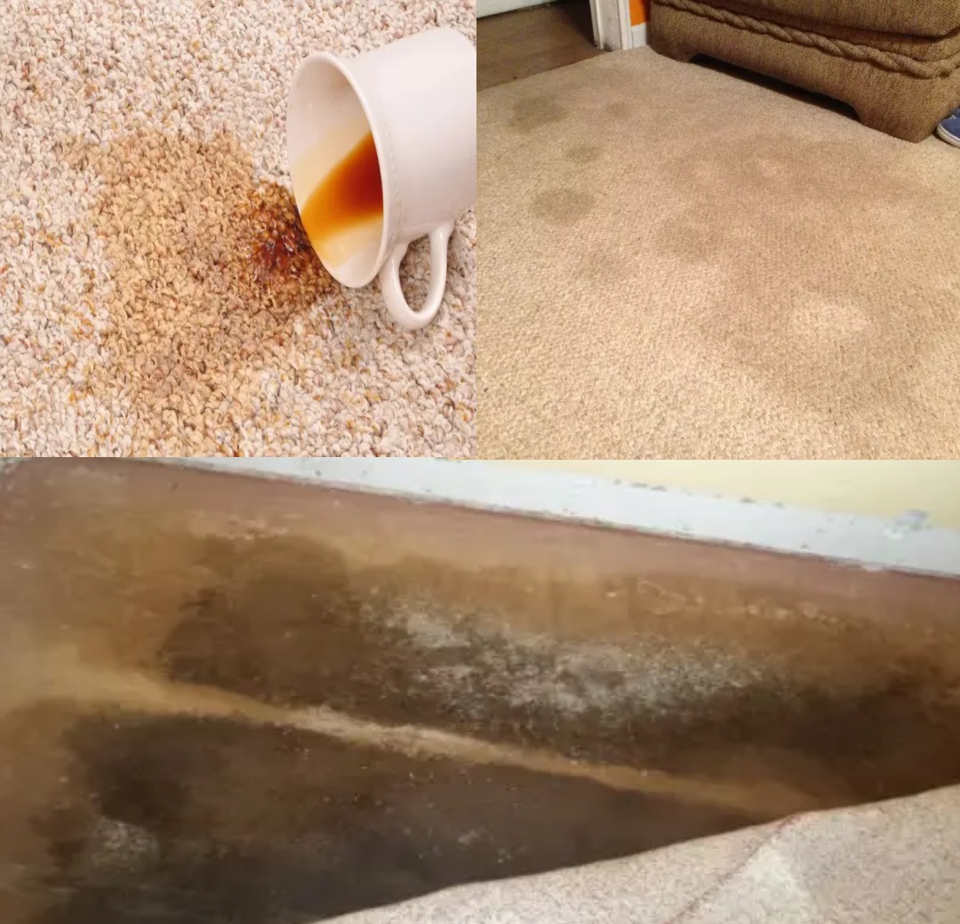 MoldAlertFL's tweet image. Have old spills? Think you cleaned it up? Mold could be lurking in your carpet! Get your home tested today! Call Mold Alert - Air Quality Inspections &amp;amp; Testing to schedule your appointment now!