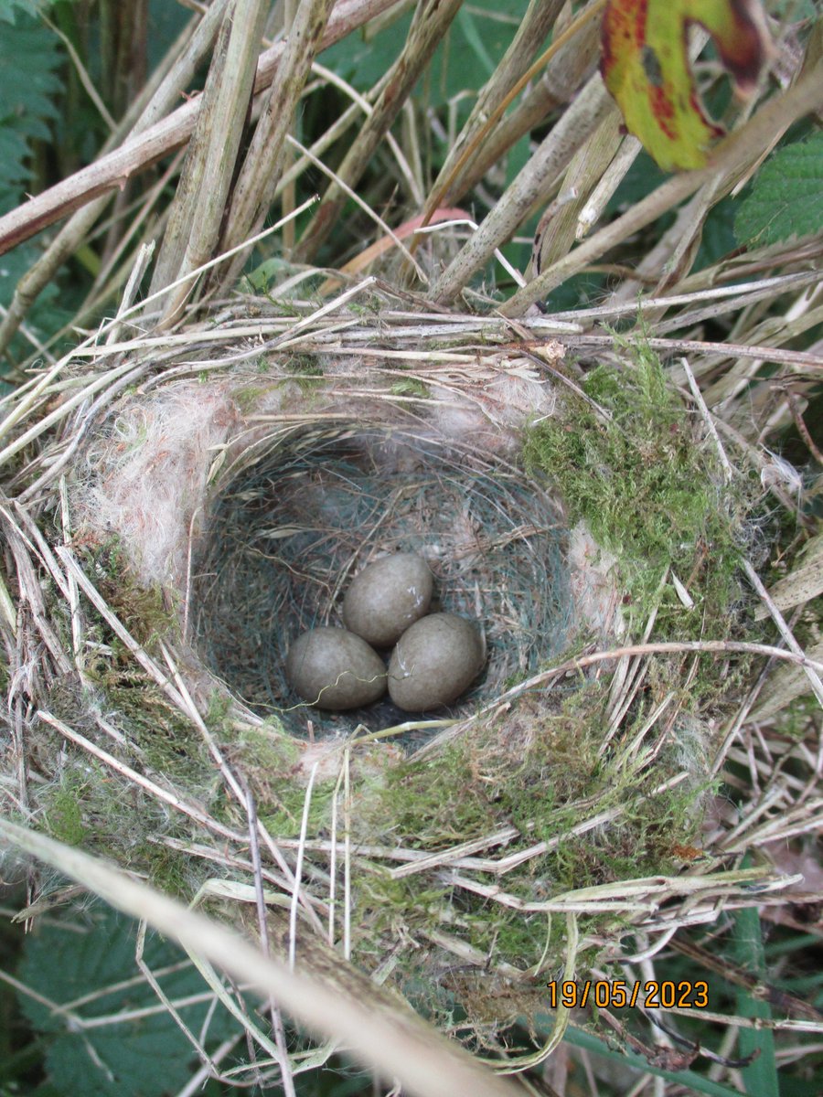 BTO Armagh Region tweet media