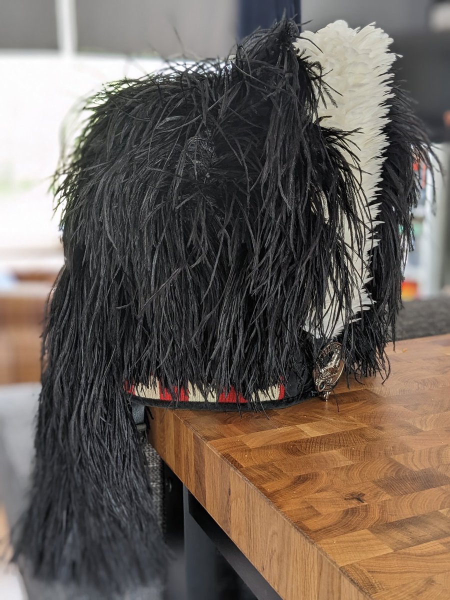 InvernessPipers's tweet photo. We took possession of this hairy fella today. Can you please help?

Dè an t-ainm a bu chòir dhuinn a thoirt air a’ bheathach gruagach seo?
(What name should we give this hairy beast? )

#Gàidhlig https://t.co/WEnx6oaUtk