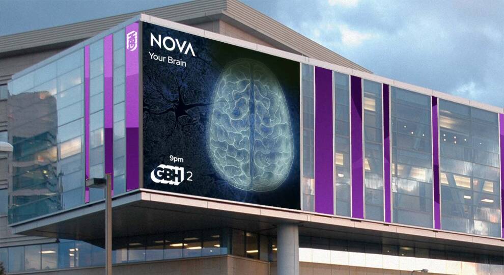 heather_berlin's tweet photo. Your Brain: Who’s in Control? airs today 5/24 @novapbs @pbs @ 9/8c! 
Are u in control, or is ur #brain controlling you? I dive into the latest research on the #unconscious, #sleepwalking, anesthesia, game theory, #emotion, #trauma, #creativity & flow to reveal whats really driving you.
https://t.co/bYoZjgOrZj