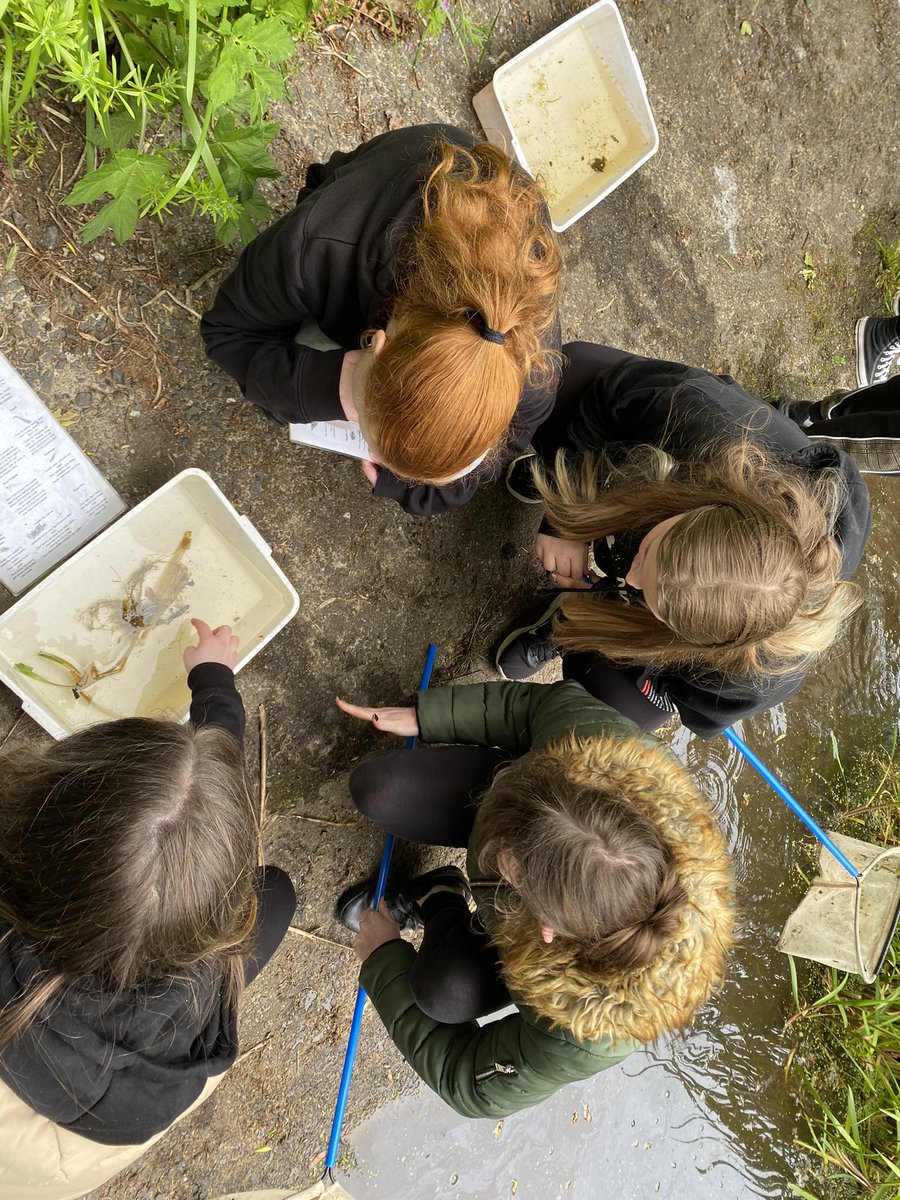 GirvanScience's tweet photo. S3 Biology were away to Culzean today sampling the insects found in rock pools and ponds 🐸🦆🐟🪳 https://t.co/f6Ge70BSns