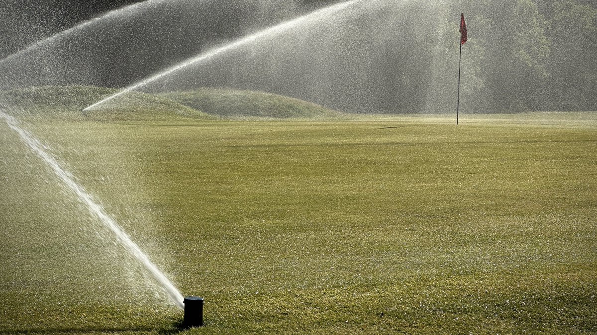 Morning setup for this years Mixed Open. Greens and approaches cut, pins moved, bunkers raked and some irrigation on selected greens to keep the moisture in the right window.