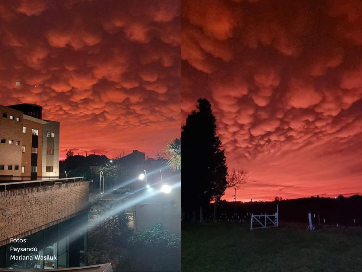 Inumet_'s tweet photo. Nubes rojas en Paysandú y R.Negro.

La dispersión de Rayleigh explica este fenómeno.
El Sol estaba bajo en el horizonte y sus rayos iluminaron la base de las nubes (altocúmulos/altostratos), reflejando hacia nosotros las tonalidades más cálidas del espectro de luz (naranja/rojo). https://t.co/42t2DarboA
