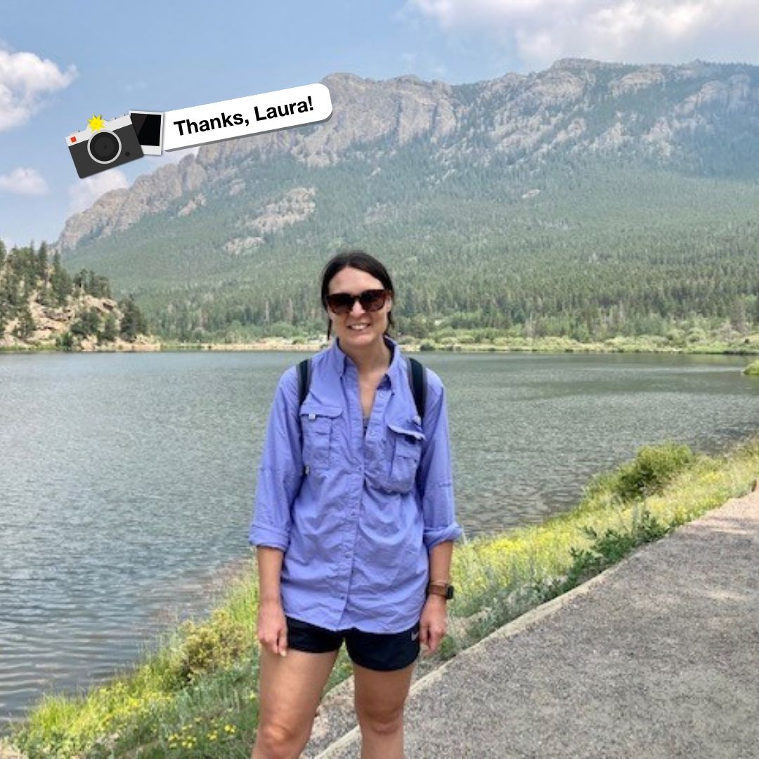 CU Online tweet media