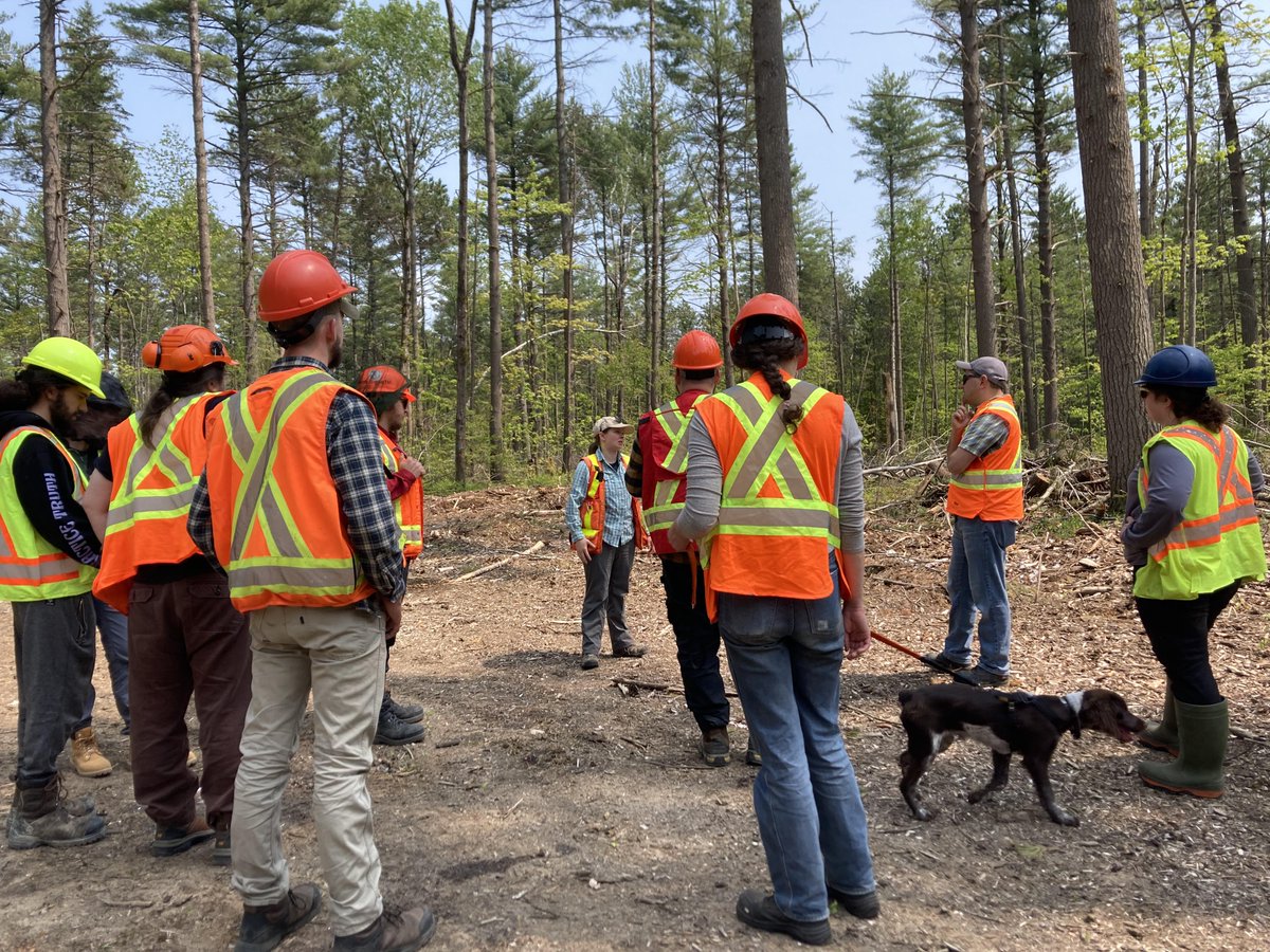 Ontariowoodlot tweet media