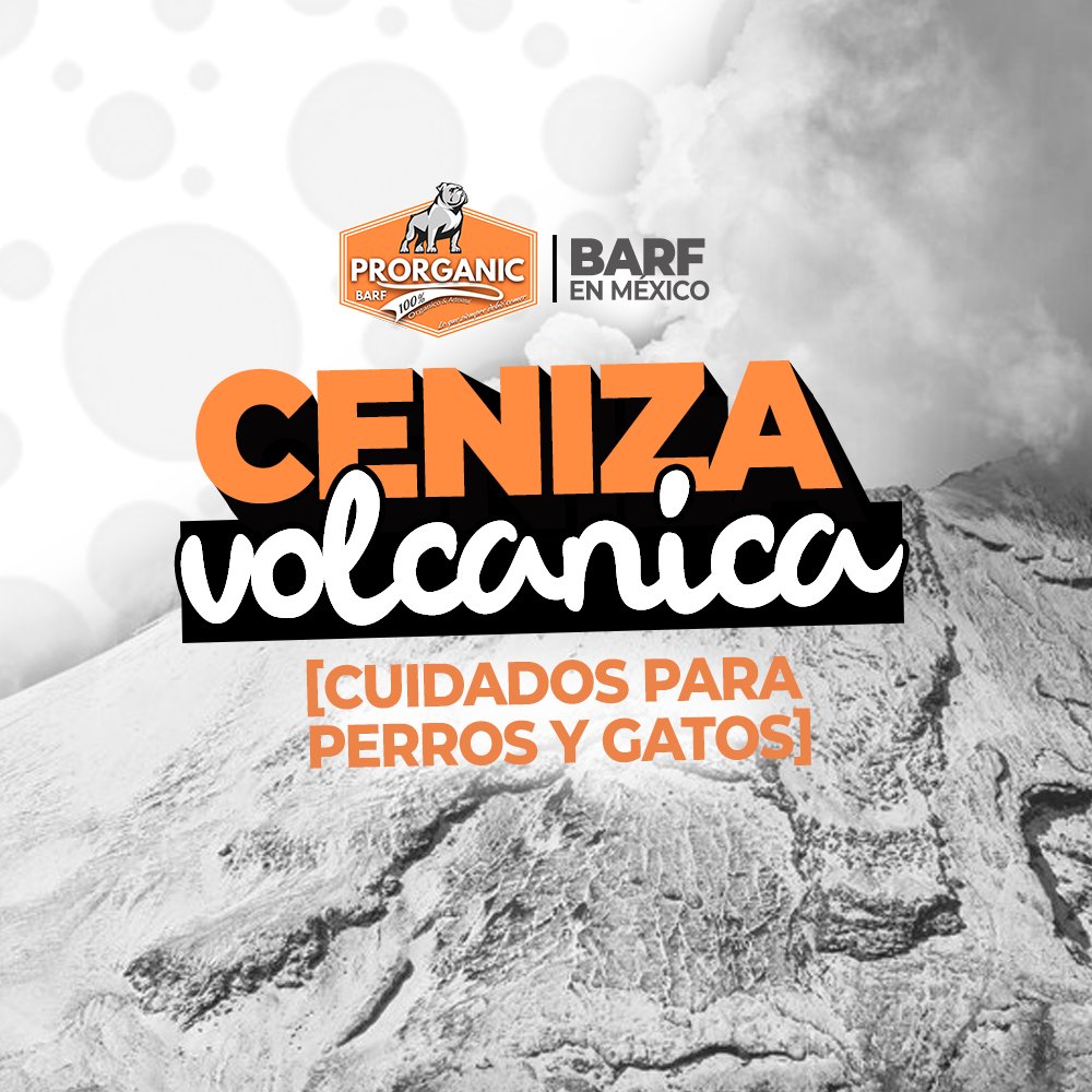 BARFenMexico's tweet photo. La #erupción de un #volcán puede traer consigo una serie de desafíos y riesgos para nuestros seres queridos, incluidas nuestras queridas #mascotas. 
A continuación, te presentamos algunos #tips esenciales para proteger a tu #mascota de la #ceniza #volcánica: https://t.co/3n6cw5NcEf
