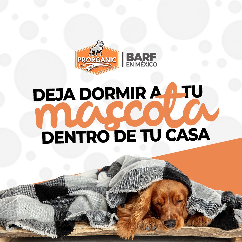 BARFenMexico's tweet photo. La #erupción de un #volcán puede traer consigo una serie de desafíos y riesgos para nuestros seres queridos, incluidas nuestras queridas #mascotas. 
A continuación, te presentamos algunos #tips esenciales para proteger a tu #mascota de la #ceniza #volcánica: https://t.co/3n6cw5NcEf