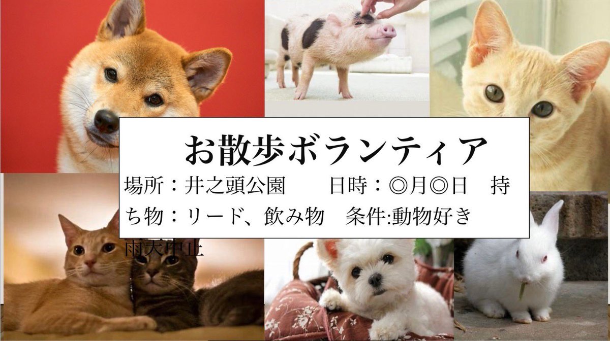 RootSeikei2020's tweet photo. 【5/24 定例MTG】
今回のミーティングでは、自分たちでボランティア内容を考えポスターをつくる!という内容のコンテンツをしました!
班ごとに個性が溢れていて、どれも素敵なボランティアばかりでした✨新入生の皆さんとも沢山話すきっかけになりました🌱
#成蹊大学
#RootSeikei https://t.co/8VxqEn1jNw