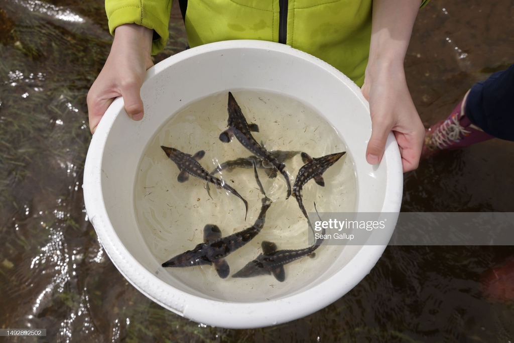 GettyImagesNews tweet picture