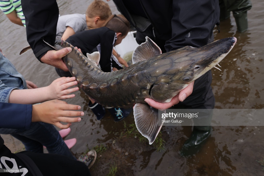 GettyImagesNews tweet picture