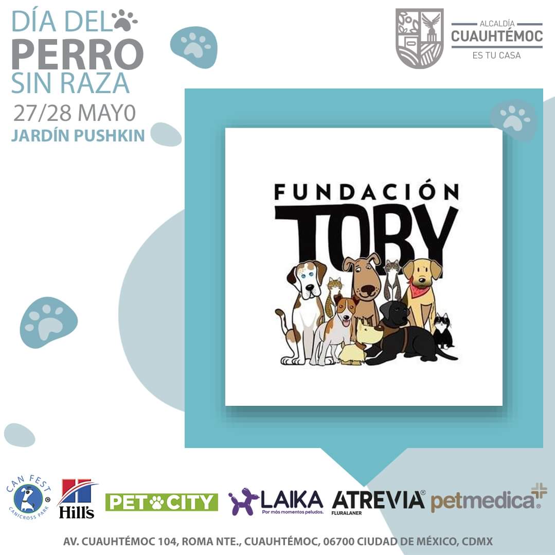 FundacionToby's tweet photo. Amigos tenemos poco tiempo para hacer publicidad y de verdad necesitamos vender mucho 🧡

Nos ayudan a compartir?? 🙌 https://t.co/EedBmgnvcv
