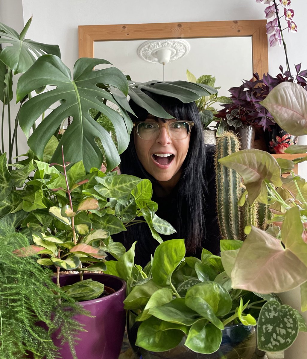 EllenMaryGarden's tweet photo. I’m hosting the new houseplant hub @BBCGWLive on all days! Hear from
the experts while you immerse yourself in houseplants 🪴Book your ticket today! Quote ELLEN15 for 15% off Thursday, Friday and Sunday tickets.* Offer ends 4th June. Hurry!
#bbcgwl #GardenersWorld #houseplants https://t.co/35B2Fot6xv