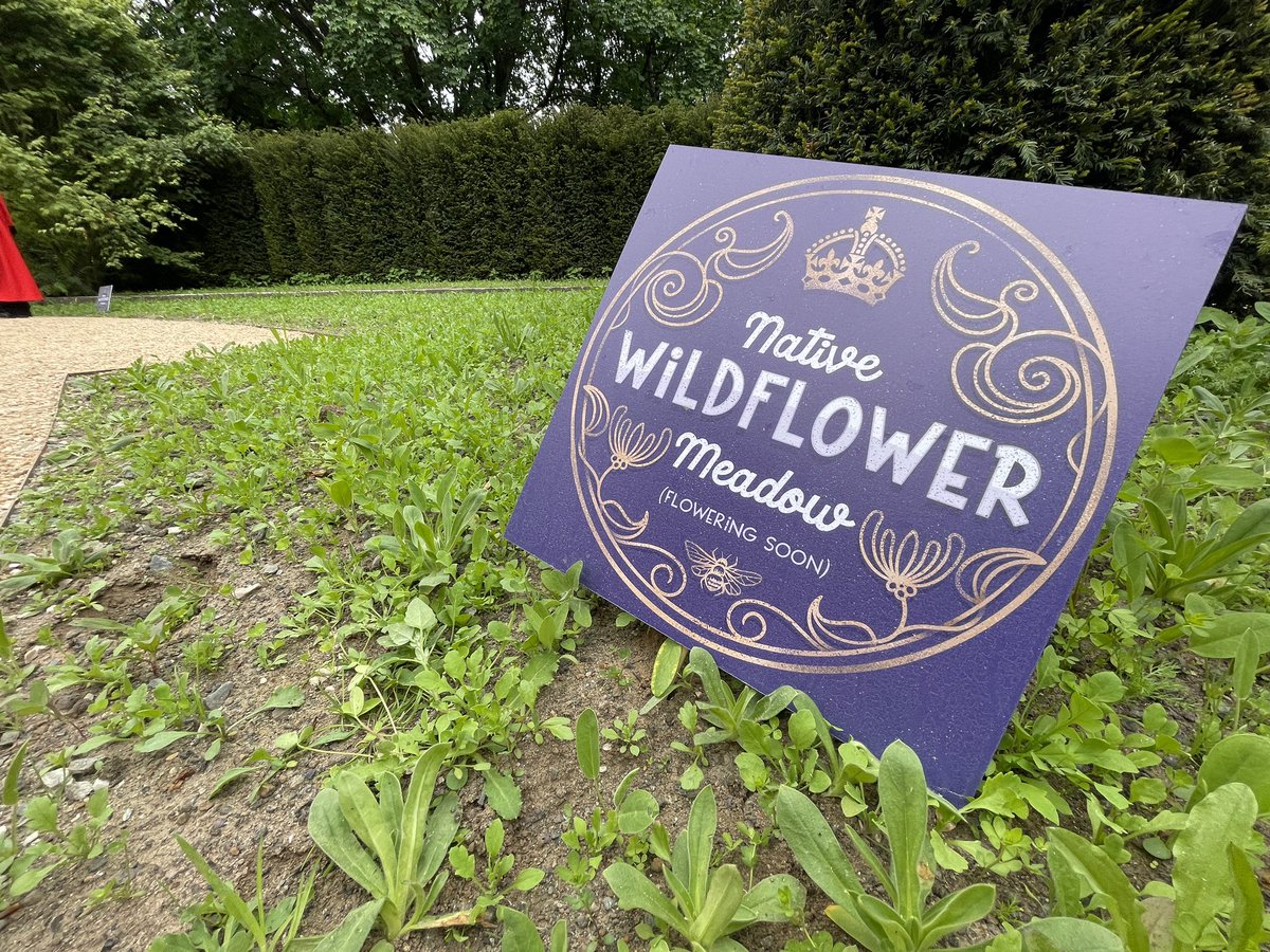 chrisshipitv's tweet photo. No new garden designed for this King would be complete without its native wildflowers (Irish ones here) and lots of plants for pollinators. 
And atop the pavilion is a not uncontroversial symbol on the island of Ireland: a big crown 👑 https://t.co/wcYL0jQeVe