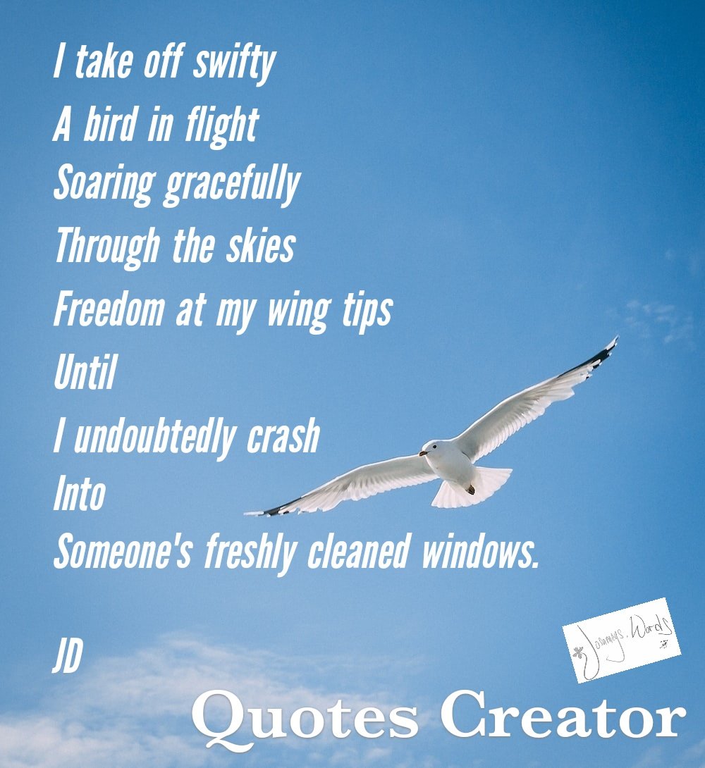 *Crash* (ie: life)
Sometimes life goes along so smoothly, until it doesn't anymore 
--
#ABirdInFlight writing prompt from the #PiccadillyInc 'Write The Poem' prompt book by @PiccadillyInc
--
#Poet #Poetry #PoetryIsntDead #Poem #Words #WordArt #SpilledInk #JosameysWords #JD