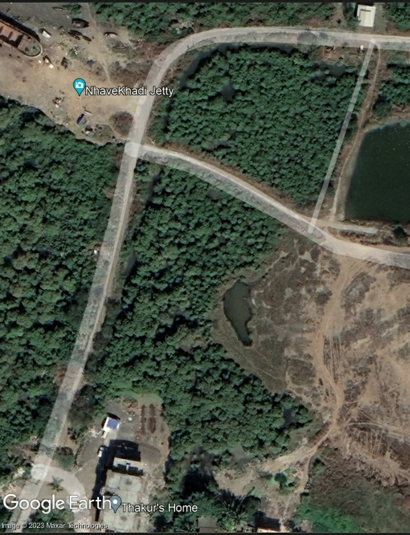 Does a Politician have rights to DESTRUCT #MANGROVES? 
Isn't the constitution equal to everyone?
Location: Rambaug, NhaveKhadi, Navi Mumbai
<a href="/moefcc/">MoEF&CC</a>
<a href="/AdarshReddyIFS/">Adarsh Reddy</a> <a href="/CIDCO_Ltd/">CIDCO Ltd</a> <a href="/MangroveForest/">Mangrove Foundation of Maharashtra</a> <a href="/navimumbaicv/">Navi Mumbai Citizen Voice 🇮🇳 नवी मुंबई नागरिक</a> <a href="/NaviMumbaiWetl1/">@SaveNaviMumbaiEnvironment</a> <a href="/AUThackeray/">Aaditya Thackeray</a> <a href="/CMOMaharashtra/">CMO Maharashtra</a> <a href="/fffmumbai1/">Fridays for future_Mumbai 🇮🇳</a> <a href="/ranjeetnature/">Ranjeet Shamal Bajirao Jadhav</a>