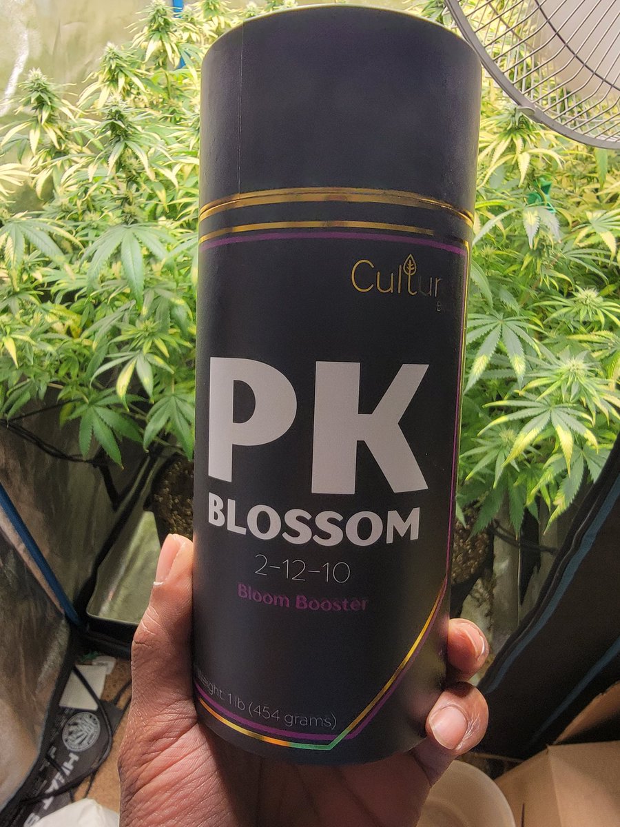 KC_Flower_Power tweet picture