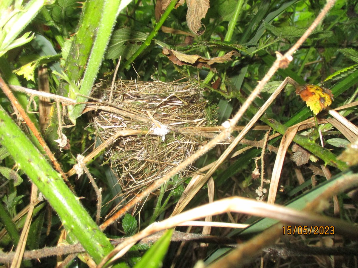BTO Armagh Region tweet media